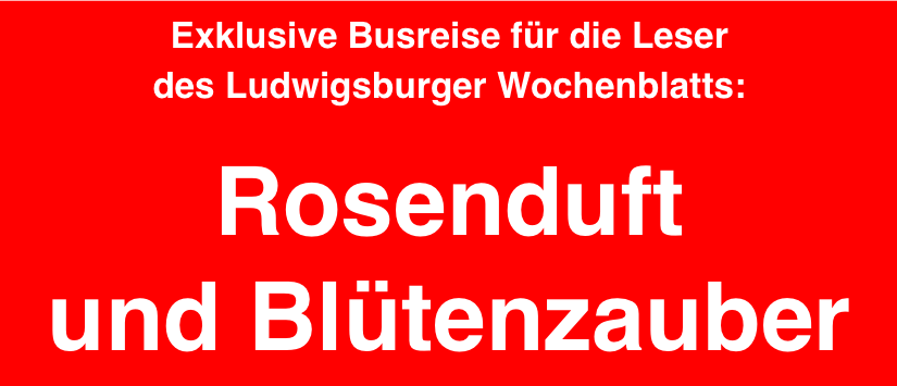 Stopper-Rosenduft